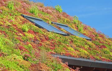 Ailsworth living roof systems